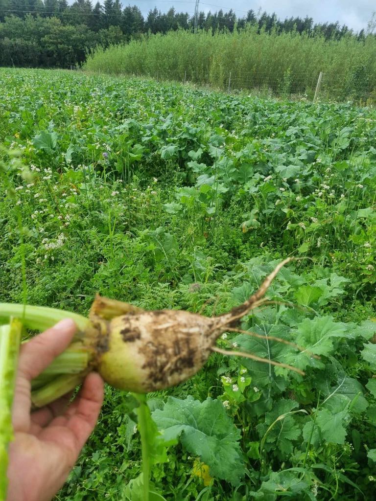 Faunamaster Boost Blend 5 kg