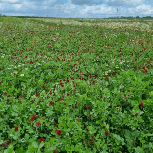 Faunamaster Deer Blend, 5 kg