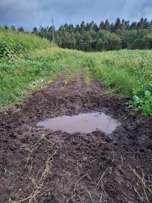 Faunamaster Deer Blend, 5 kg