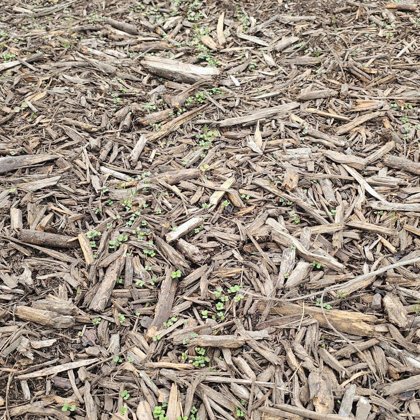 Faunamaster Forest Recovery - 5 kg