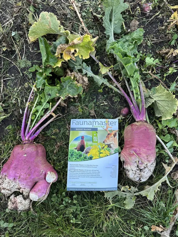 Faunamaster Boost Blend 5 kg